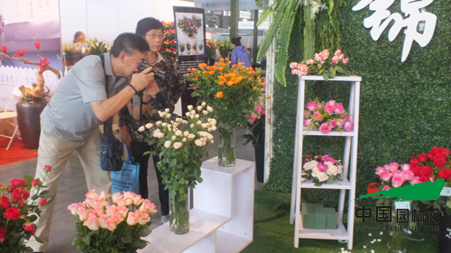 以花搭臺(tái) 共謀發(fā)展 第十七屆昆明國際花卉展成功舉辦 第十七屆昆明國際花卉展成功舉辦(圖3)