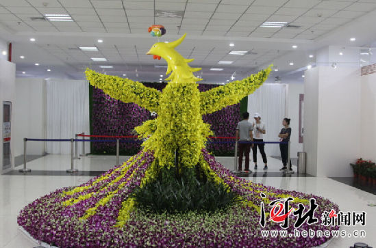 唐山市民快到世園會(huì)看國際精品蘭花展(圖1)