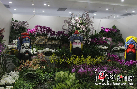 唐山市民快到世園會(huì)看國際精品蘭花展(圖2)