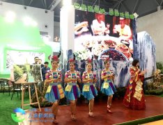 2016重慶國(guó)際旅游狂歡節(jié)萬(wàn)盛展廳