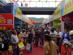 第十三屆家居建材展銷會在石獅商貿(mào)城舉行