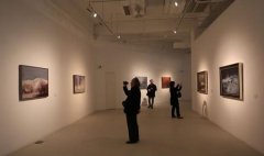 我們?yōu)楹稳狈?yōu)質(zhì)展覽資源