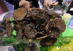 第9屆義烏森博會(huì)首設(shè)國家精準(zhǔn)扶貧展區(qū)