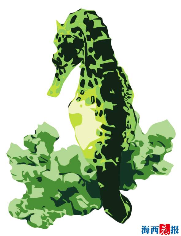 廈門海底世界內(nèi)設(shè)有五個特色展區(qū)(圖8)