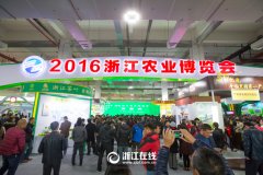看展覽、嘗美食、囤年貨 2016浙江農(nóng)博會(huì)