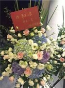 半木展廳正式開(kāi)業(yè)啦